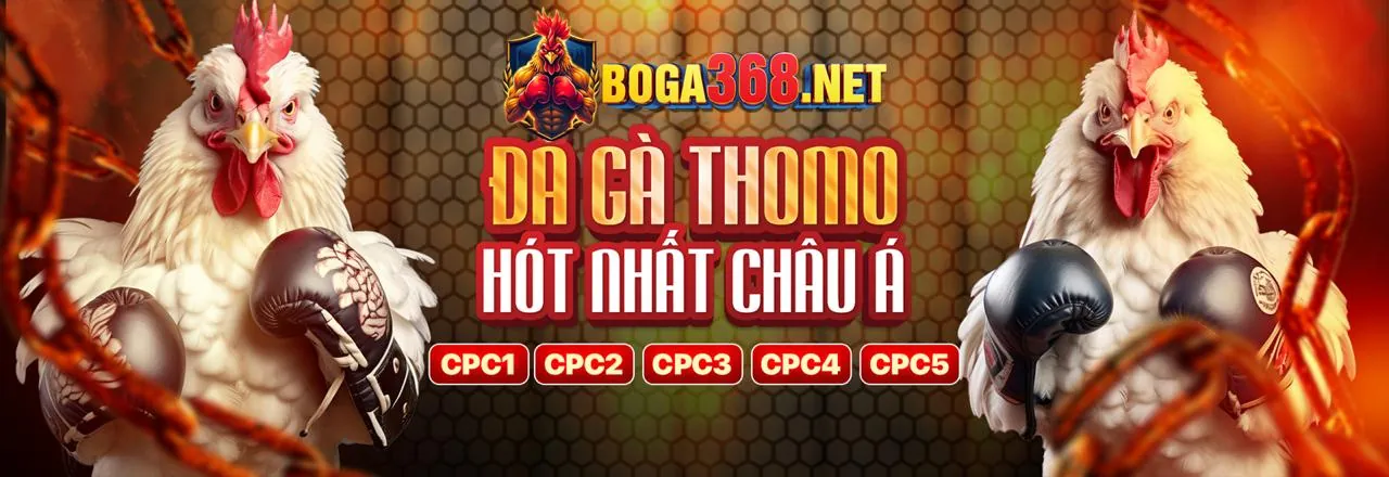 Đá gà trực tuyến Kubet 19