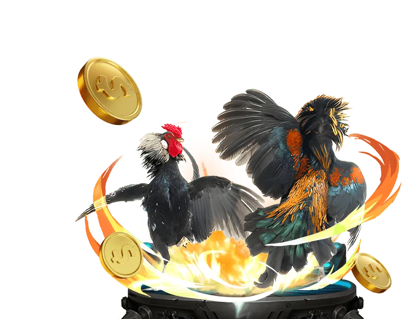 Cá cược bóng đá Kubet 19